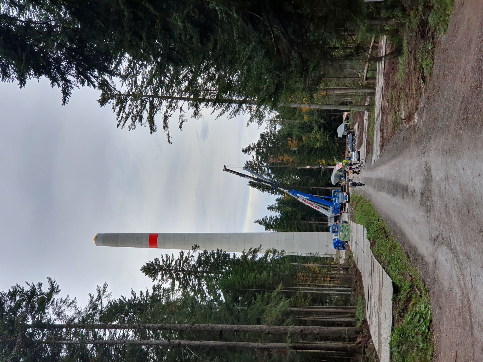 2023 11 November 562